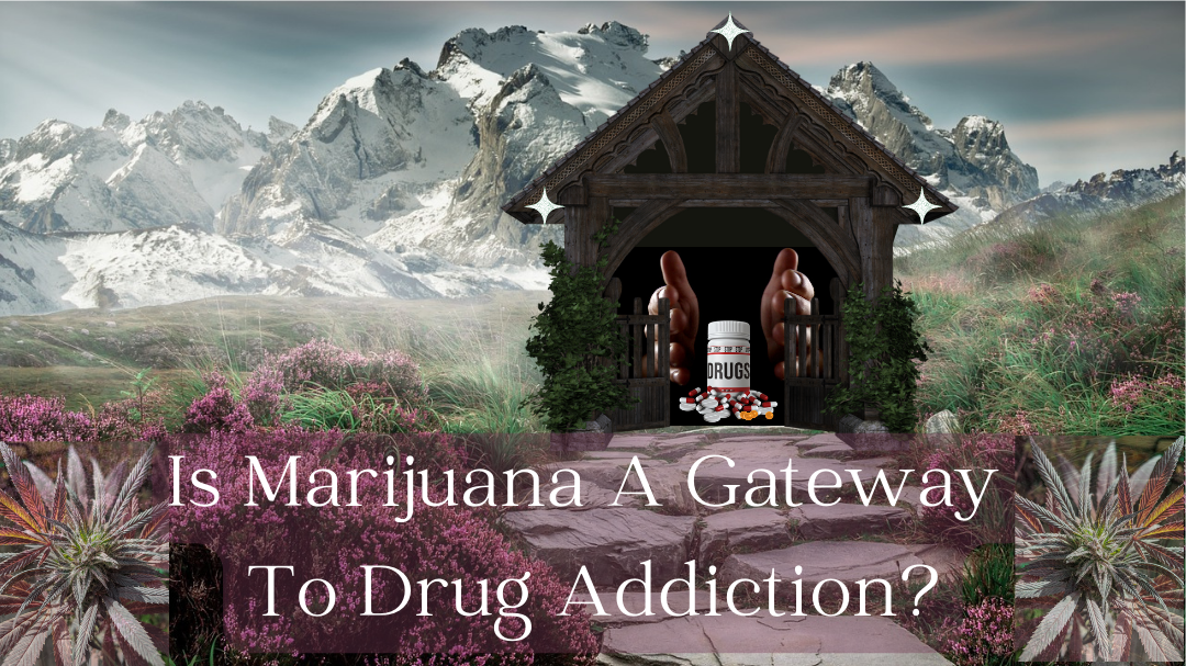 The likelyhood of marijuana being a gateway to harder drugs is dependent upon each individual.
