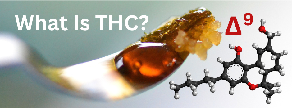 What is Δ 9 THC All About? Discover the complexities of this cannabis compound along with its benefits and risks.