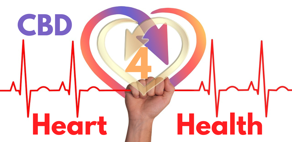 CBD has many therapeutic properties that can potentially benefit heart health.