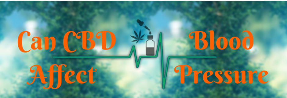 CBD Oil and Blood Pressure: Does Cannabidiol Have Any Effect on Blood Pressure? Due to the many therapeutic properties of CBD, it can help lower blood pressure through different mechanisms.