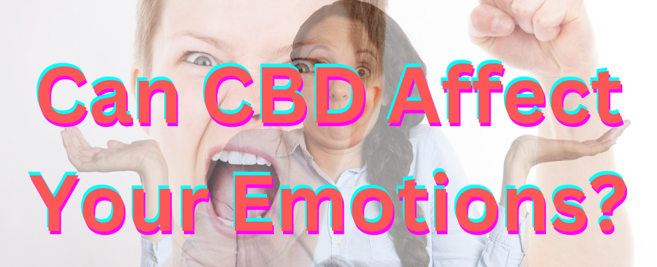CBD affects your endocannabinoid system in a positive way in the majority of cases. Due to its many potential therapeutic properties, I can have a positive impact on human emotions.