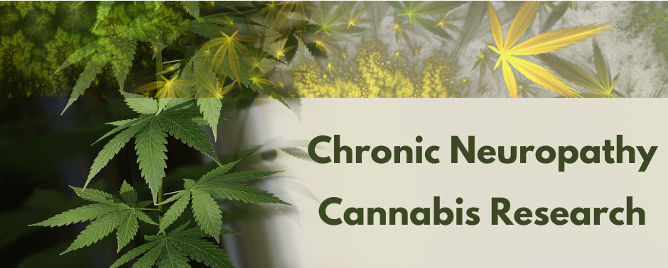 CBD and Chronic Neuropathy: Clinical evidence is promising for the use of cannabis compounds for treating chronic neuropathy.