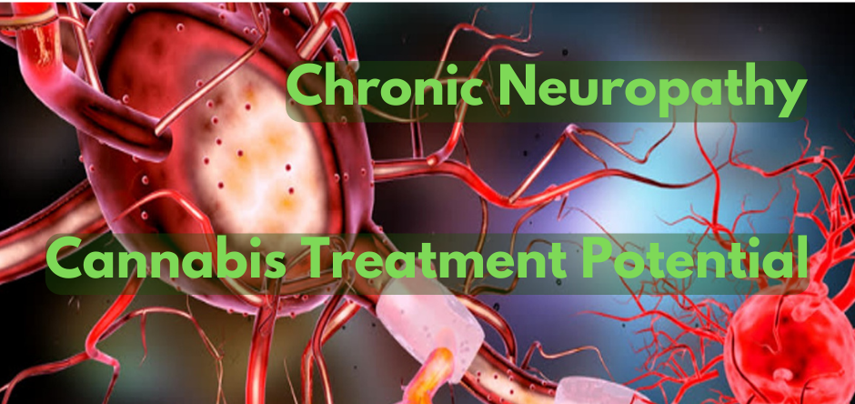 CBD and Neuropathy: The potential for treatment with cannabis compounds.