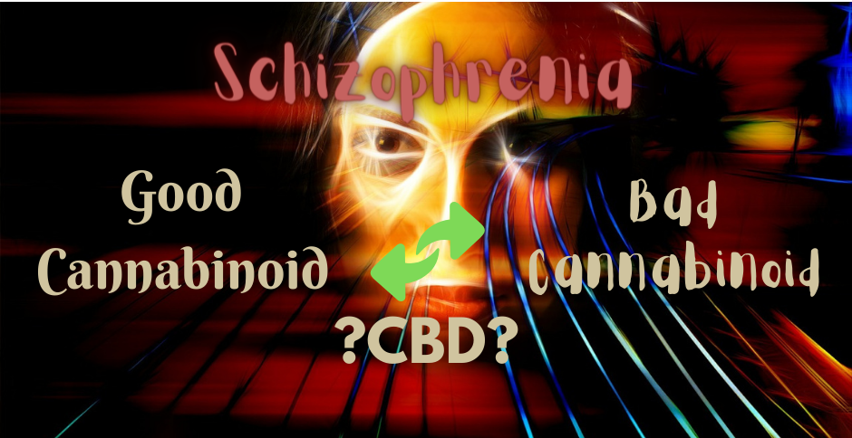 Can CBD use lead to schizophrenia like its sister cannabinoid THC? Or is it instead beneficial for this terrible disease?