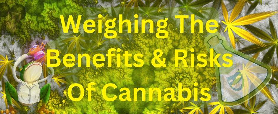 Are the benefits of using cannabis worth the risks?