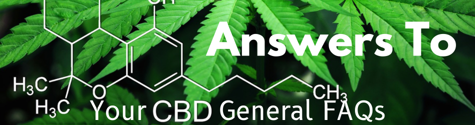 Find the answers to all your burning questions about CBD!