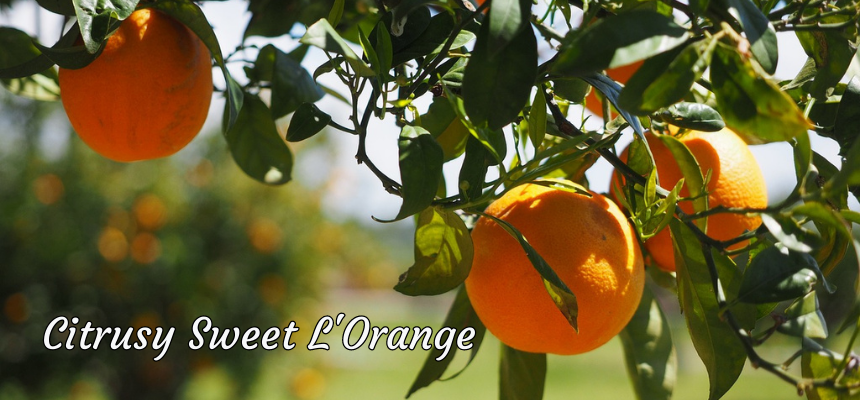 Open a stash of L'Orange and imagine walking through an orange grove.
