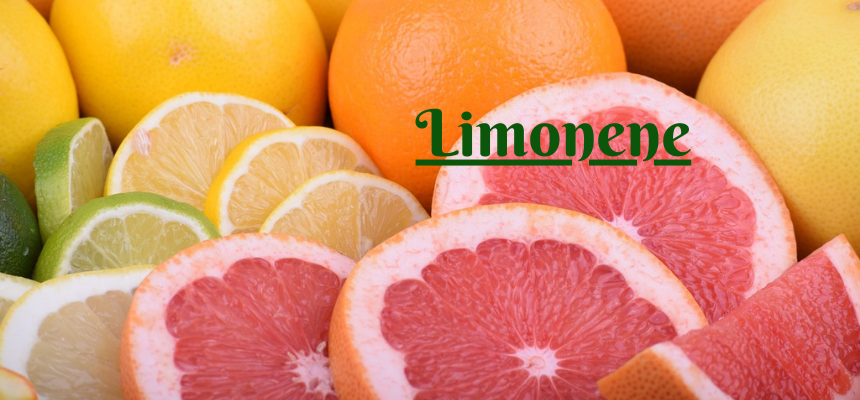 Limonene, common in many weed strains, emits a citrusy aroma and has uplifting effects.