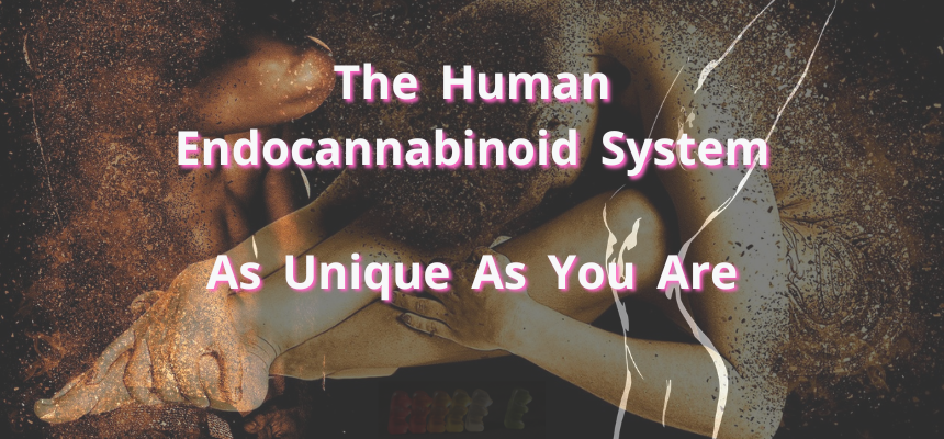 How you experience the marijuana high is dependent upon your individual endocannabinoid system and tolerance.