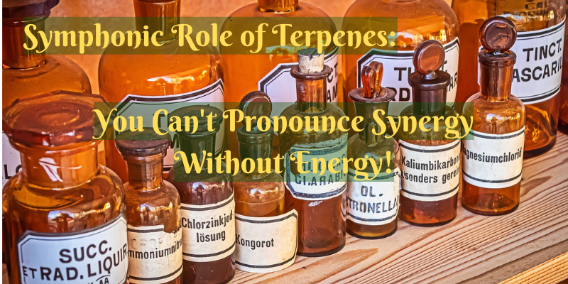 Terpenes take a prominent role in the synergy of the Entourage Effect.
