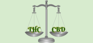 Discover the balancing act of THC & CBD. Learn how they interact with one another.