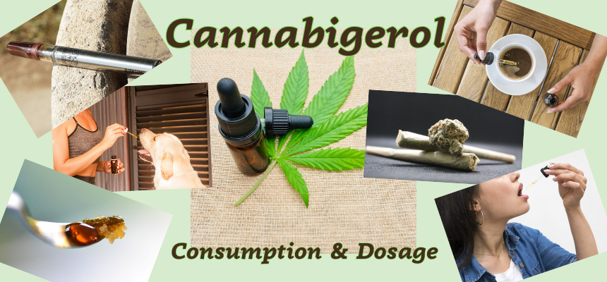 The consumption methods for CBG are the same as for any other cannabis product. Dosages should be prescribed by a healthcare professional.