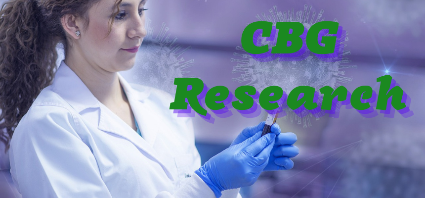 Research into CBG is in its early stages. Even so, the results are quite promising for the future of cannabinoid medicines.