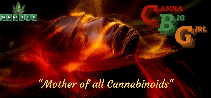 CBG is considered the "Mother of all Cannabinoids" because it is the precursor that all cannabinoids come from.