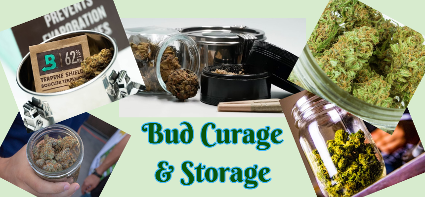 Proper curing and storing of your cannabis can assure peak potency and flavor.