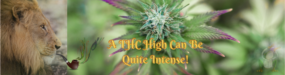 The effects of a THC high can very quite a bit depending on a lot of variables like delivery method and the individuals tolerance.