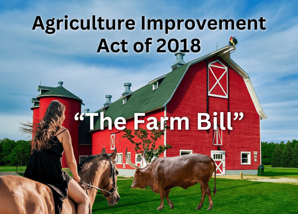 Average American farm scene with a woman riding a horse toward a big red barn. Text overlay is "Agriculture Improvement Act of 2018" "The Farm Bill"